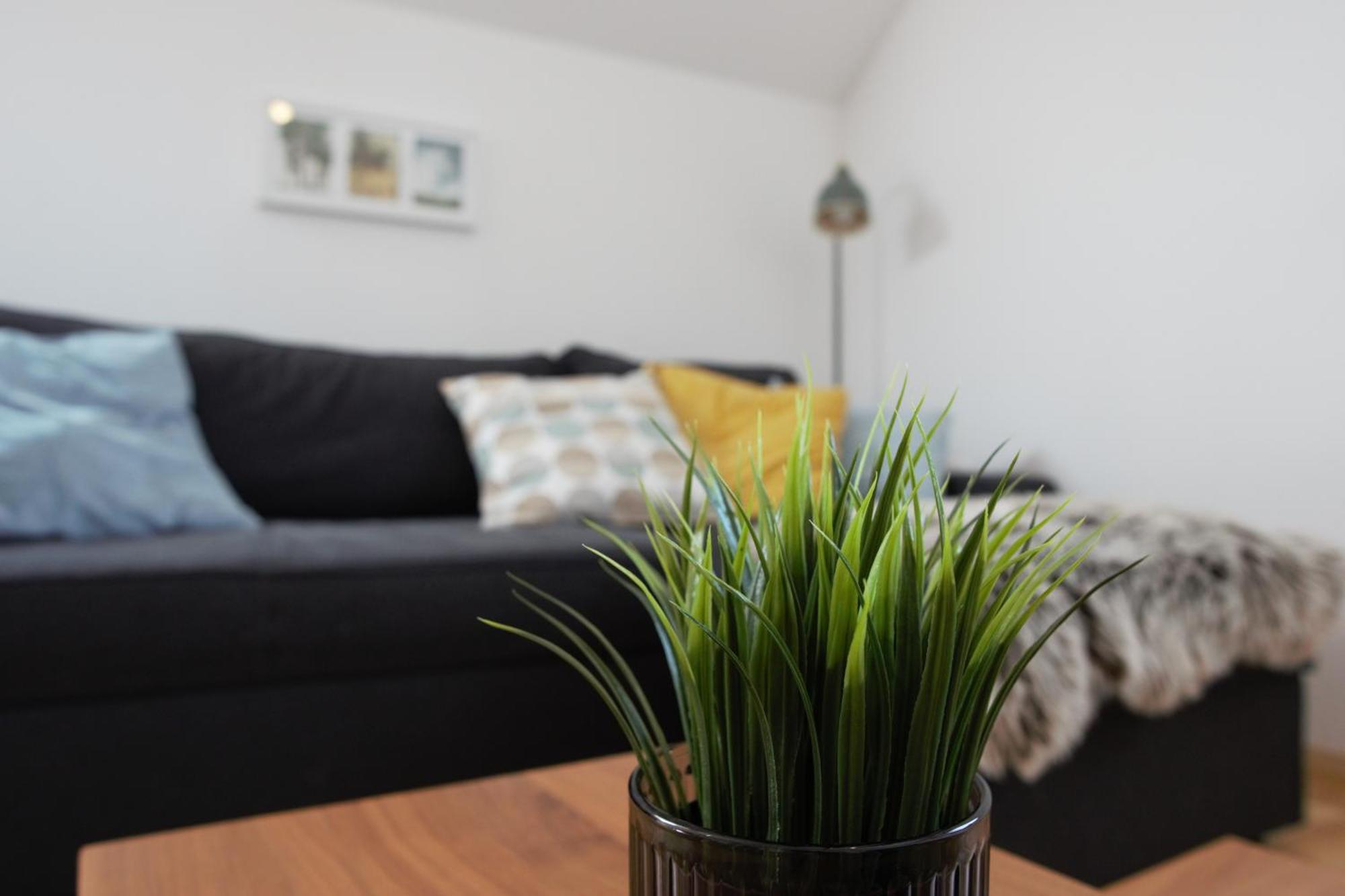 Domen'S Cozy Rentals Kranj Eksteriør bilde
